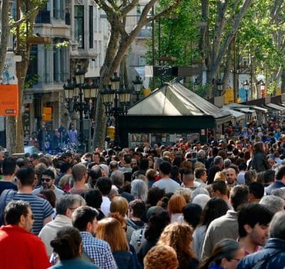 donde compro mis rosas de sant jordi