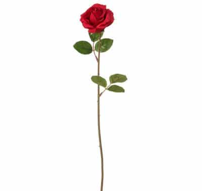 Rosa de Sant Jordi más vendida
