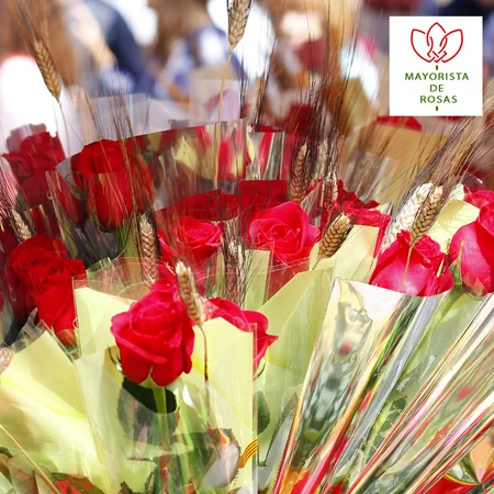 Comprar Rosas Sant Jordi