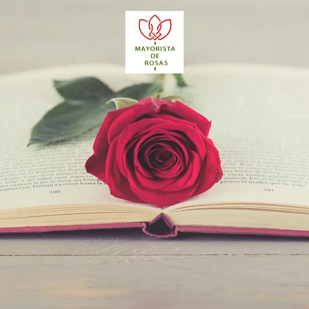 Vender rosas Sant Jordi sin Licencia